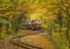 Hív az őszi erdő – kisvasútra fel!