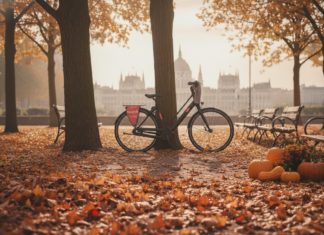 Kedvezményes áron e-bringázhatnak a II. kerületiek novemberben