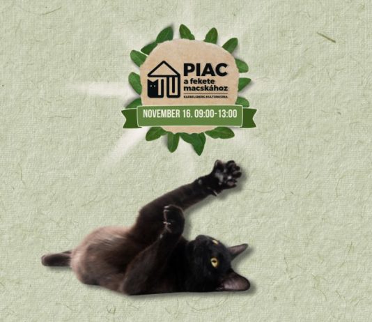 Újranyit a Piac A Fekete Macskához: mutatjuk a termelőket!