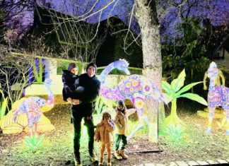 Budapest nagyhatalom lett a fénykiállítások terén