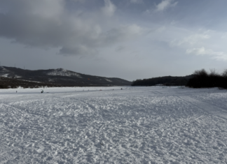 Hűvösvölgyi panorámák – kirándulás a budai hegyek rejtett világában