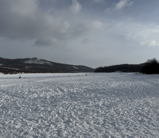 Hűvösvölgyi panorámák – kirándulás a budai hegyek rejtett világában