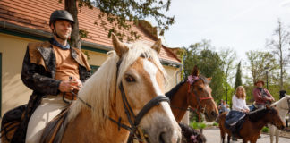 Nyeregbe pattant Buda: látványos lovas felvonulás és családi nap a II. kerületben