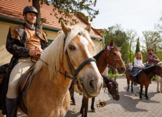 Nyeregbe pattant Buda: látványos lovasfelvonulás és családi nap a II. kerületben