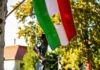 Ön is átélte 1956-ot? Vagy meséltek róla a családjában? Most pénzt nyerhet a történetével a II. kerületben